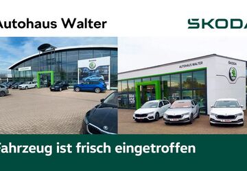 Skoda Octavia 23.950 km 28.990 &euro; Sömmerda 99610